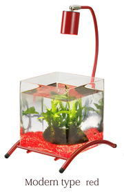 �M�ы��������K�[�����b�h�̎ʐ^