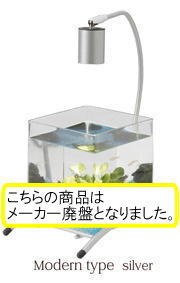 �M�ы��������K�[���V���o�[�̎ʐ^